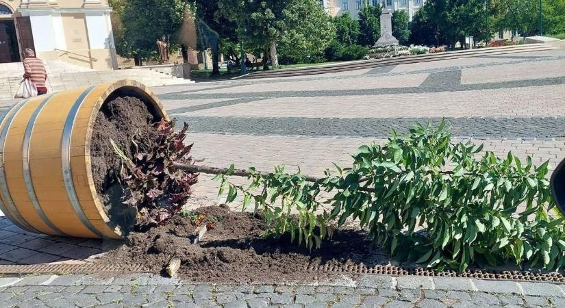 Elfogták a szekszárdi vandálokat – több százezer forintos kárt okoztak az éjszakai randalírozók