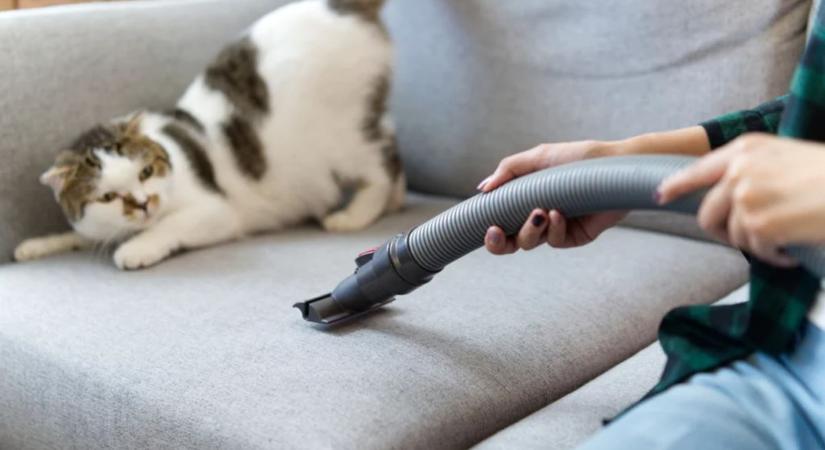 Így szabadíthatod meg az otthonodat a portól és az allergénektől hosszú hetekre