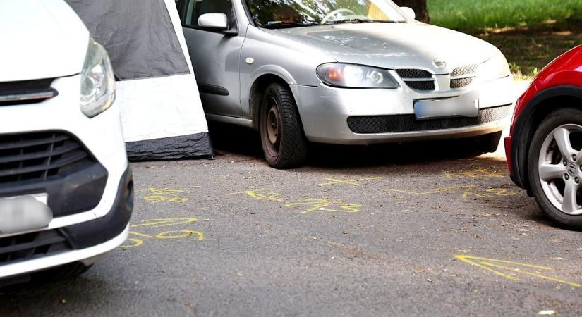 Haláleset, tiszavirágzás és titkos esküvő: eseménydús nap Csongrád-Csanádban