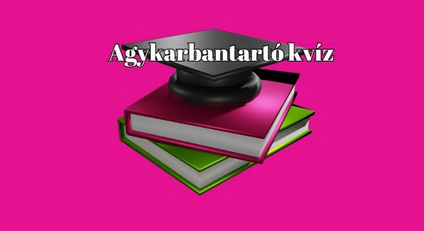 Napi agykarbantartó: az elmédnek is kell a torna nem csak a testednek!