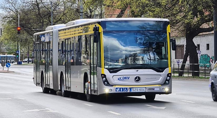 Több debreceni buszjáratot is eltereltek egy faág miatt