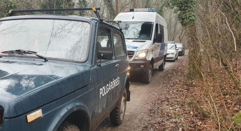 Kevesebb halálos baleset, de több bűncselekmény Tatán - itt vannak a statisztikák