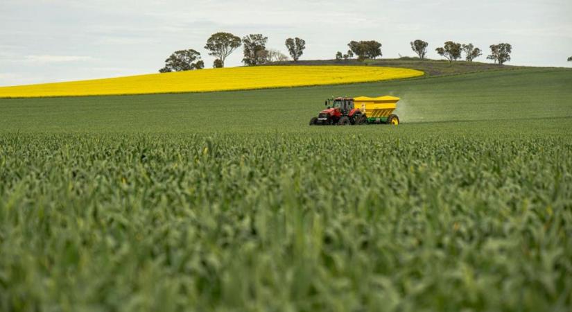 Vizeletből műtrágya? Szurkolók menthetik meg az agráriumot