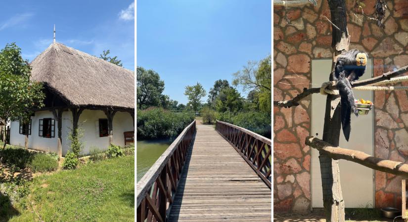 Nyíregyháza gyerekkel – 5 szuper látnivaló és program az egész családnak
