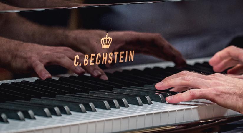 A strapabíró Bechstein