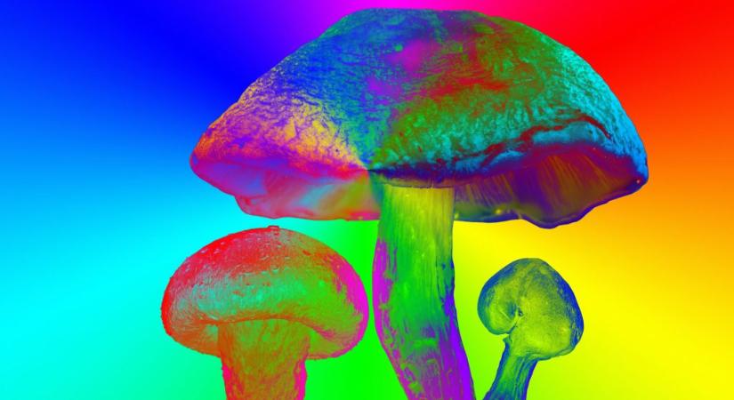 Megdöbbentő, mi történt az Alzheimer-kóros idős hölggyel, aki varázsgombát evett