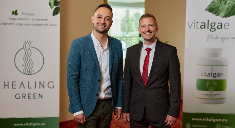 Algák a mindennapokban: természetes út az energikusabb élethez