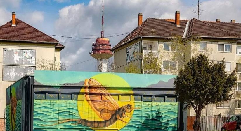 Falra festve már itt van a nyár egyik legszebb csodája, a Tiszavirág