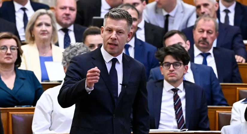 Magyar Péter a Vitnyédre tervezett menekülttáborról: Megvan a titkos kormányhatározat, kedves Pócs János