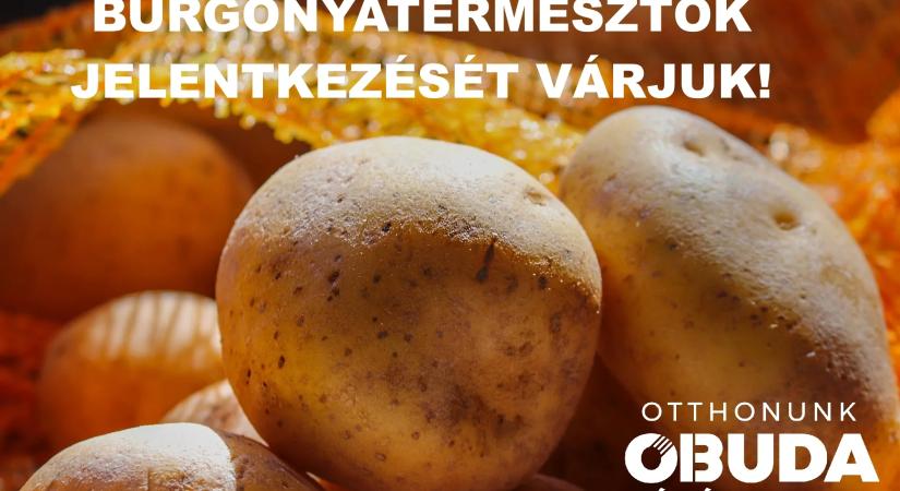 Ismét kedvezményes burgonyavásárt szervezünk – Várjuk termesztők, cégek, vállalkozások jelentkezését!