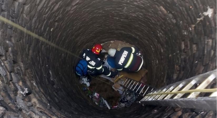 Kútból mentettek ki kutyát a szalontai tűzoltók