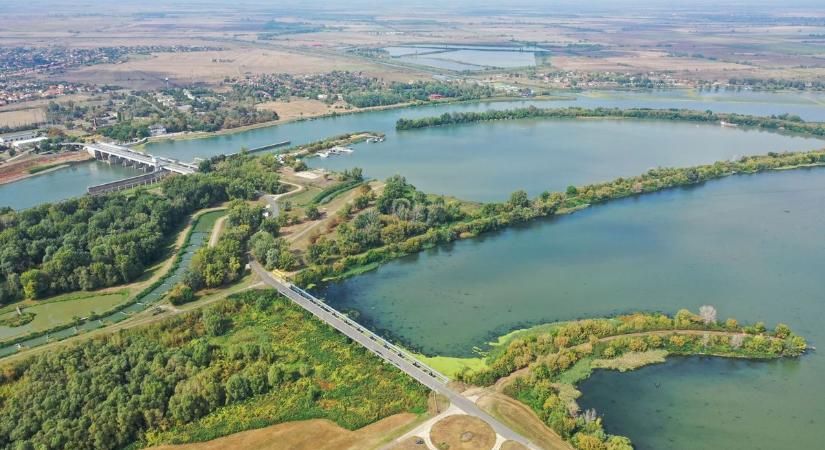 Tíz centi, ami milliókat ér – rendkívüli lépésre kényszerülnek a szakemberek a Tisza-tónál