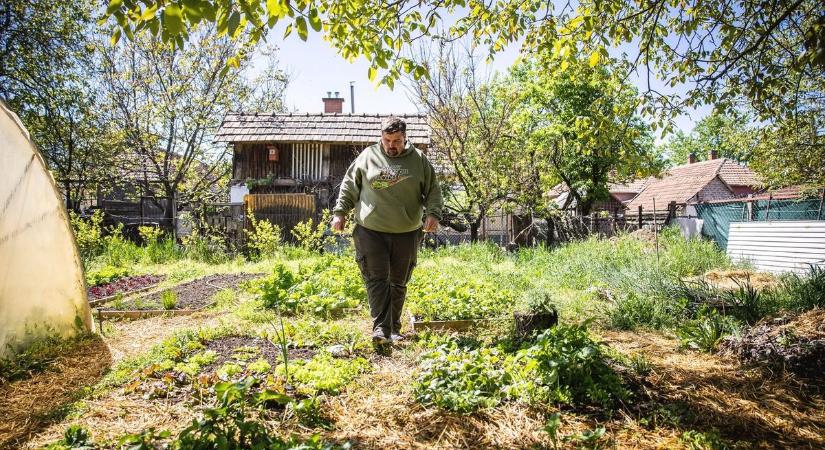 A legnagyobb kerti divat, ami észrevétlenül teheti tönkre a termést