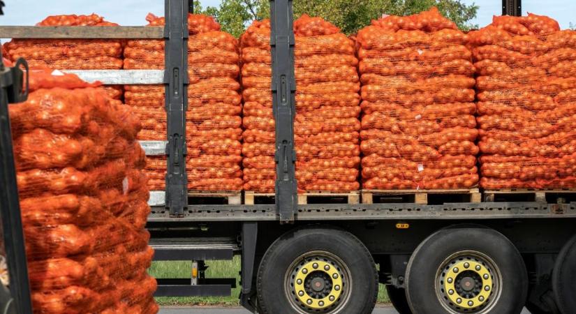 Menekül az afrikai és egyiptomi áru a Közel-Keletről: Elárasztja az EU-t az olcsó import, veszélyben a hazai termelők