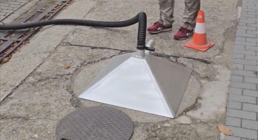 Sok a rovar a lakosság szerint