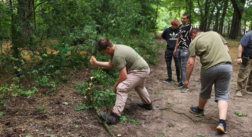 Egy perc alatt eltüntették az útból a kidőlt fát az ásotthalmi diákok – videón a villámgyors akció