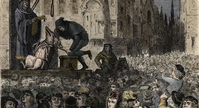 Ügyvédet rendeltek ki a patkányoknak, a macskák viszont megúszták a börtönt