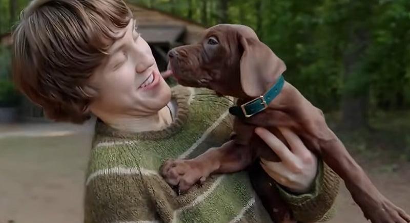 Meghökkentette a kutya a rajongókat az élőszereplős Scooby-Doo teaserében