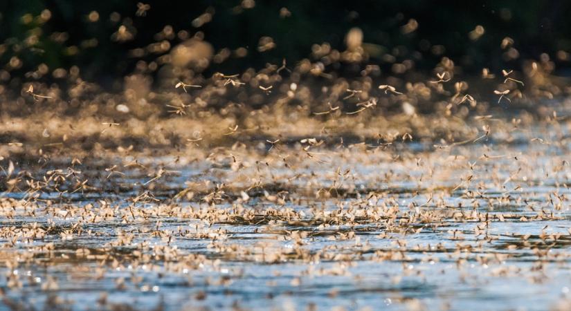 Súlyos bírság járhat ezért a magyar folyón: sokan nem is sejtik, de ez tilos