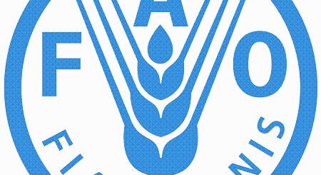 FAO: csökken a világ gabonatermése a 2026/27-es szezonban