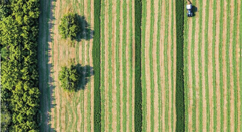 Kettéosztott hatáskörökkel felállt az új agrár- és környezetvédelmi végrehajtó hatalom