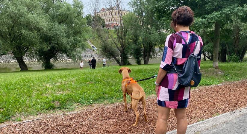 Kitört a nyári háború Baján: egy járda miatt akadtak ki a kutyások a Sugó-parton  fotók, videó