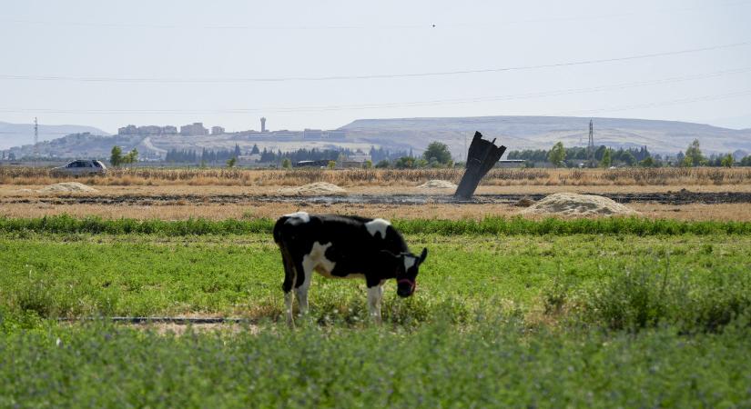 Fellángoltak a harcok a Közel-Keleten: Amerika válaszcsapást mért Iránra az Apache helikopter lelövése után, Irán amerikai erőkre támadt Bahreinben és Jordániában