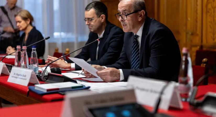 Hegedűs Győrfi Pál leváltásáról: A mentőknek nem celebarcokra, intézményvédő reflexekre és PR-mondatokra van szükségük