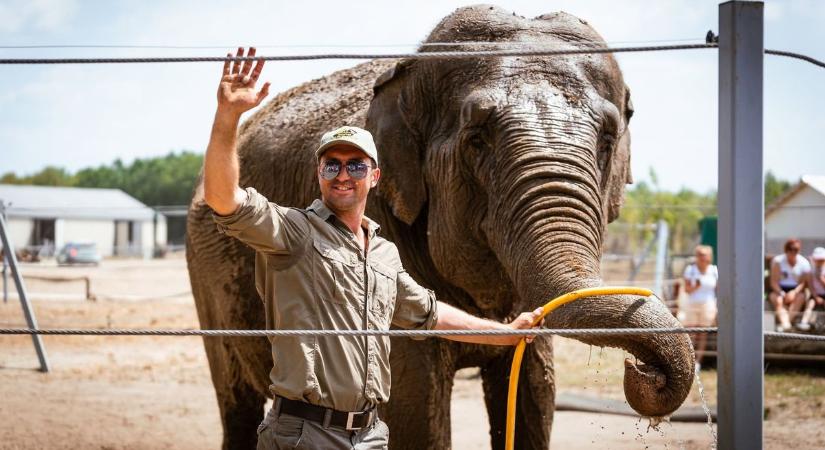 Fergeteges szülinapi buli a Richter Safari Parkban, ingyenes és kedvezményes jegyárakkal