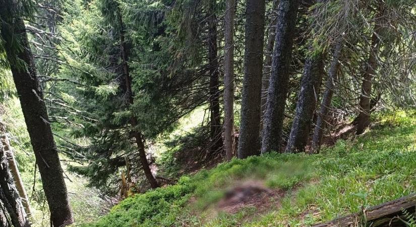 Holttestet találtak az ukrán–román határ közelében egy nehezen járható hegyvidéki területen