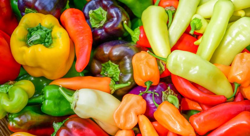 Elképesztő árak: ennyibe kerül most egy kiló paprika sok piacon