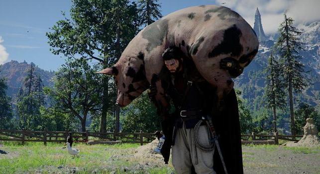 A Crimson Desert egy offline MMO, és ennek csak örülhetünk
