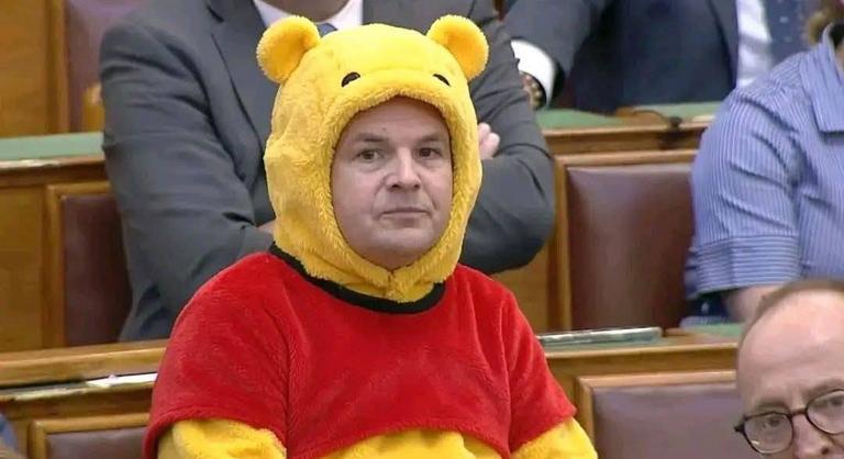 Csacsi, öreg medvévé változtatta Németh Balázst a mémgyár, és még a könyvdaráló is előkerült