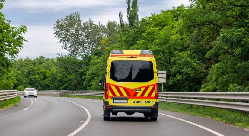 Emberéletet követelt a gázolás a Dunakanyarban, válaszoltak a mentők