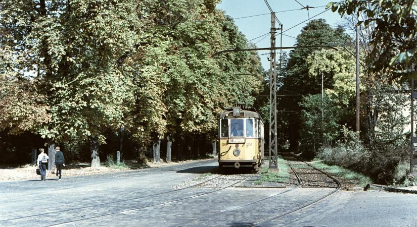 Legendás magyar kirándulójárat végállomása születik újjá: kiderült, mi lesz a sorsa a patinás épületnek
