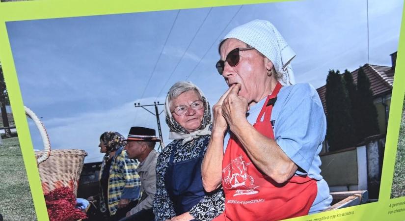 Több mint hatezer elképesztő fotóval borították be Siófokot