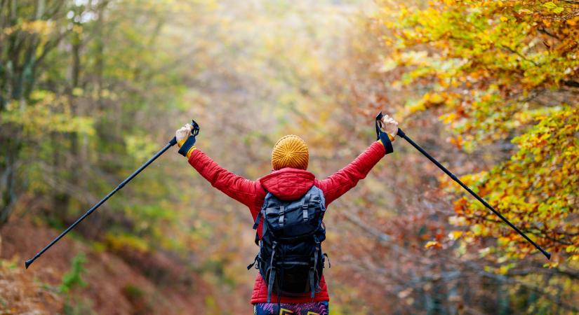 Nordic walking