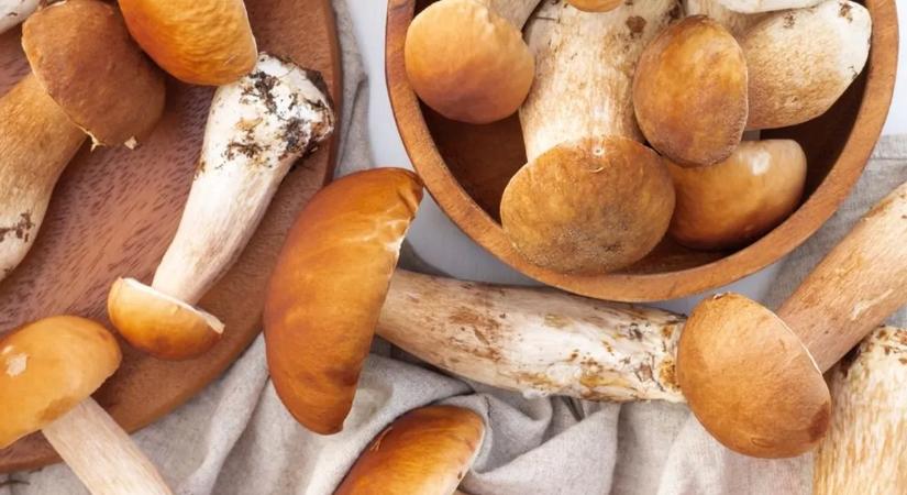 Megjelent a vargánya a piacokon – ennyibe kerül most a népszerű erdei gomba
