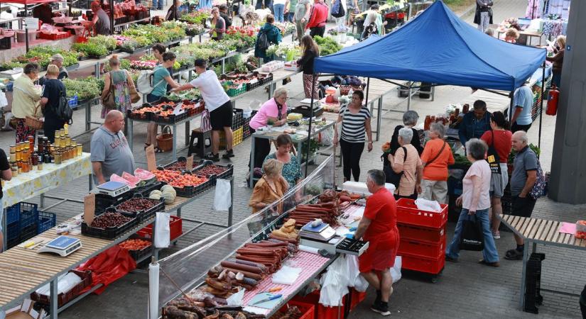 Dömping volt gyümölcsből a szekszárdi piacon, az árak azonban nagy szórást mutatnak