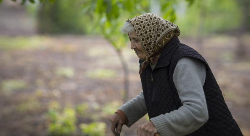 Ötmillió forintnyi pénzt és aranyat akasztott ki zsákban a kerítésére egy 93 éves nő, miután felhívták, hogy fegyvert találtak az unokájánál