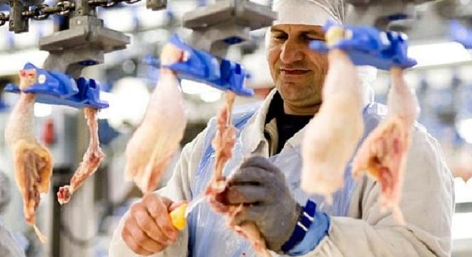 Master Good: muszáj külföldi munkavállalókat alkalmazni