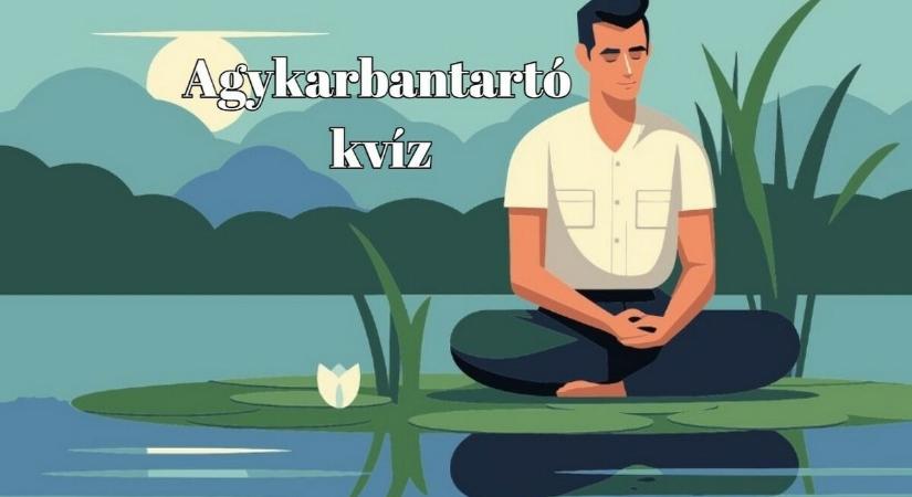 Agykarbantartó kvíz - 10 kérdés és 30 válasz. Válogasd szét!