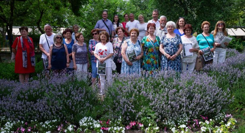 Versengtek a társasházi kiskertek Kecskeméten, ezek lettek a legszebbek  fotók