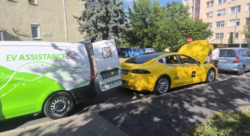 Íme a nyári merítés eredményei