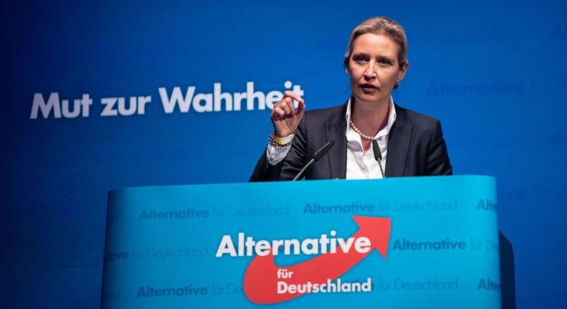 Retteg a német tudományos világ egy AfD-győzelemtől, mert a párt megszüntetné a genderképzést
