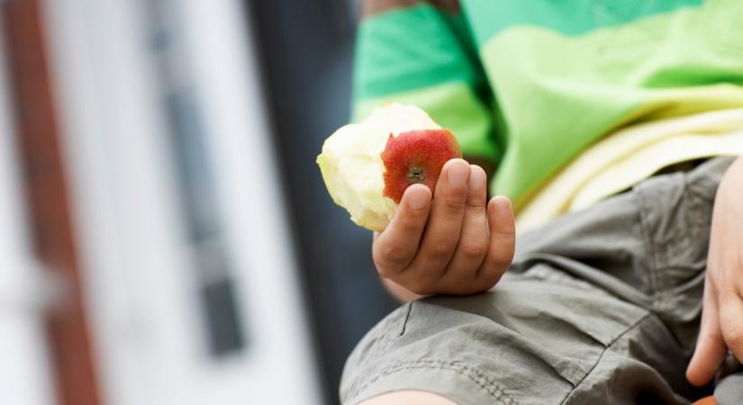 Megdöbbentő az ok – a szakértő elárulta, miért ne dobj ki soha almacsutkát az autóból, nagyobb bajt okozhat, mint gondolnád!