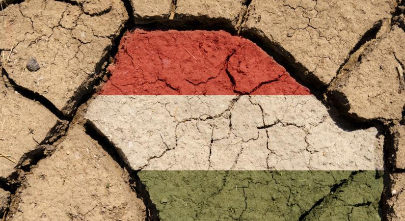 Az aszálykárok drámája és a magyar vidék túlélése