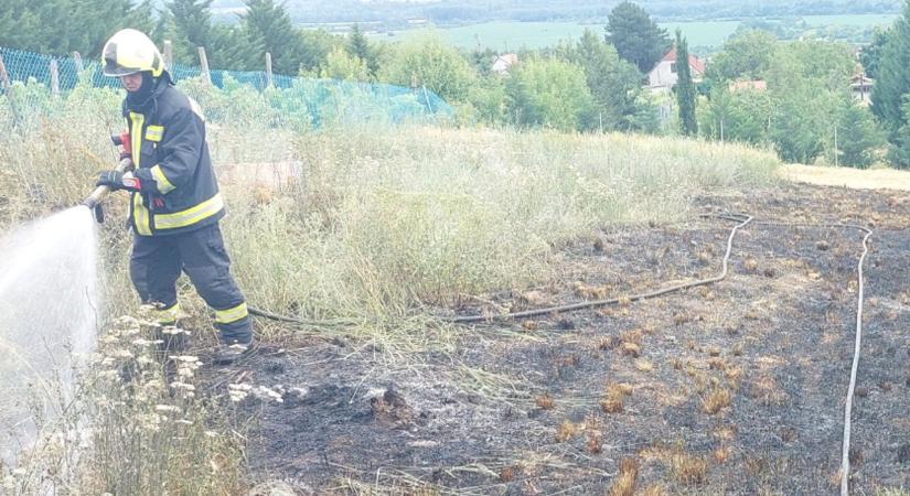 Újra felcsaptak a lángok a Mecsek-oldalban, pedig még él a patacsi tűz emléke