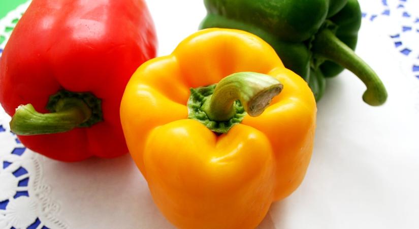 A paprika júniusban nemcsak vizet kér: kertész ismerősöm szerint ettől lesznek igazán nagyok és húsosak a termések
