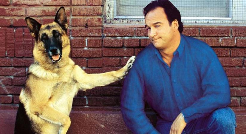 James Belushi volt a Kutyám, Jerry Lee sztárja: 71 évesen így néz ki ma
